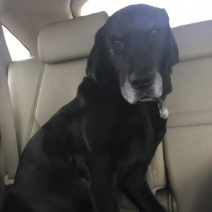 POSH PALS: watch out for poshers who rip peeps off